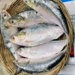 ৫ পিস মাছে ৫ কেজি